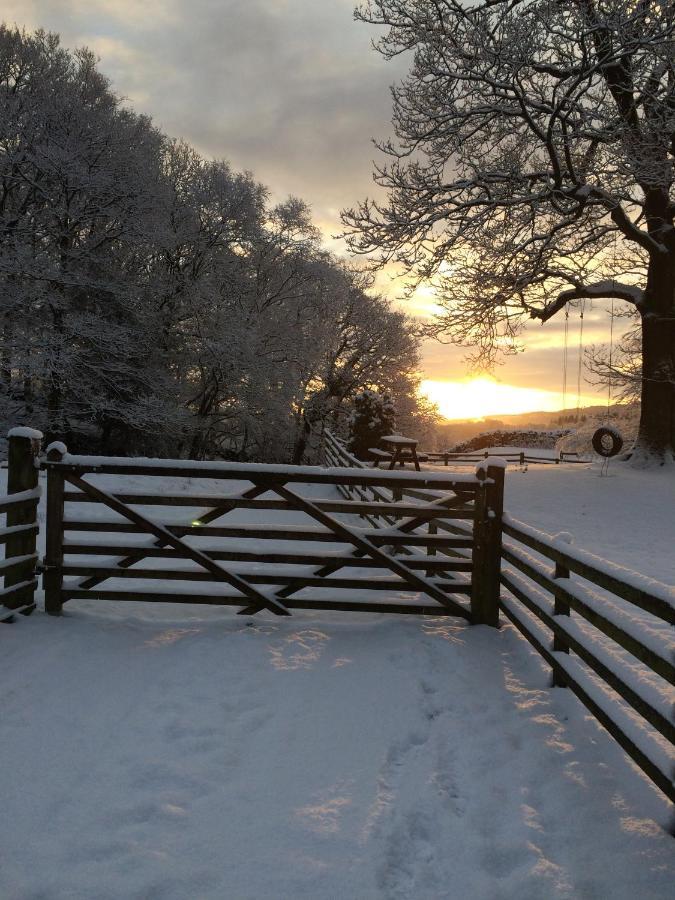 Holmeshead Farm Panzió Ambleside Kültér fotó