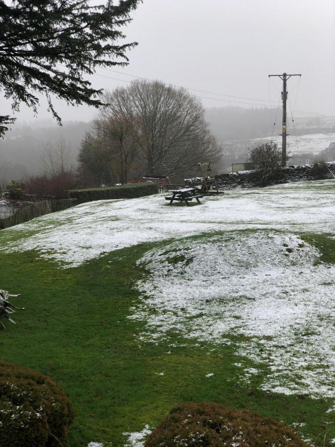 Holmeshead Farm Panzió Ambleside Kültér fotó